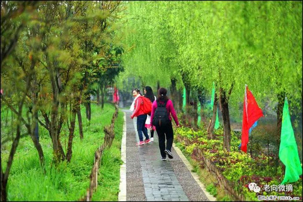 【春天，广西桂林灌阳县向您发出邀请！】江口老街又逢春 - 游山玩水 - 榆林生活社区 - 榆林28生活网 yl.28life.net