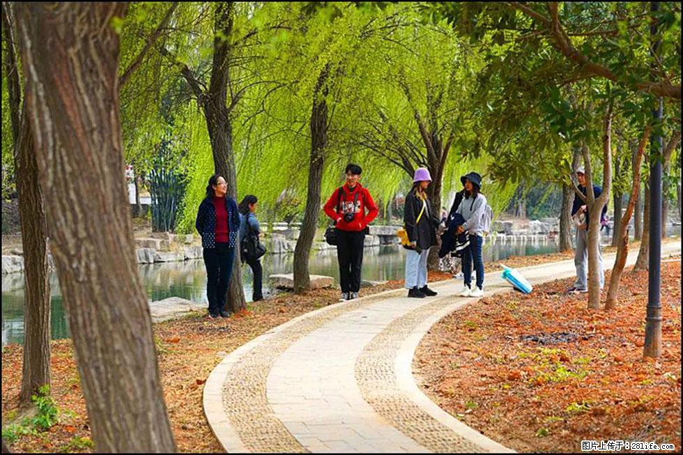 【春天，广西桂林灌阳县向您发出邀请！】江口老街又逢春 - 游山玩水 - 榆林生活社区 - 榆林28生活网 yl.28life.net