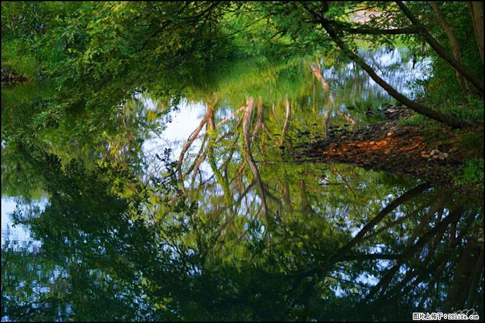 【春天，广西桂林灌阳县向您发出邀请！】熊家寨湿地公园 - 游山玩水 - 榆林生活社区 - 榆林28生活网 yl.28life.net