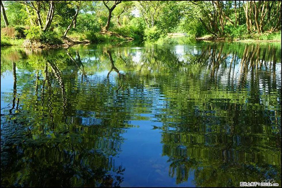 【春天，广西桂林灌阳县向您发出邀请！】熊家寨湿地公园 - 游山玩水 - 榆林生活社区 - 榆林28生活网 yl.28life.net