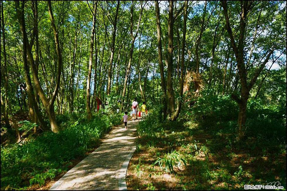 【春天，广西桂林灌阳县向您发出邀请！】熊家寨湿地公园 - 游山玩水 - 榆林生活社区 - 榆林28生活网 yl.28life.net
