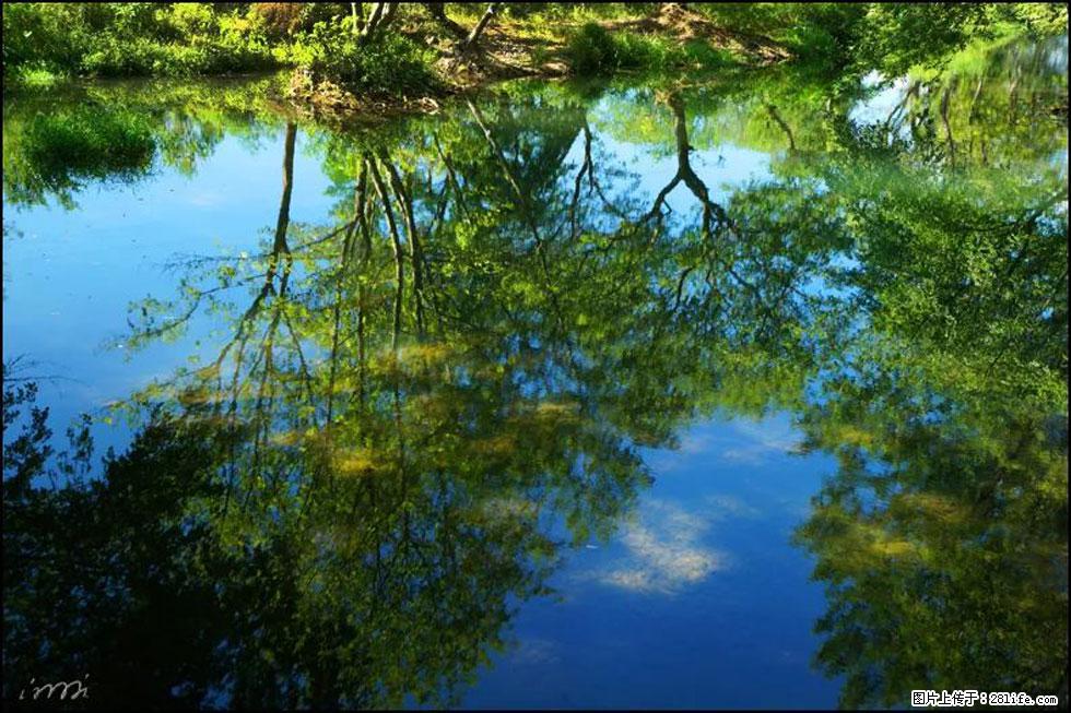 【春天，广西桂林灌阳县向您发出邀请！】熊家寨湿地公园 - 游山玩水 - 榆林生活社区 - 榆林28生活网 yl.28life.net