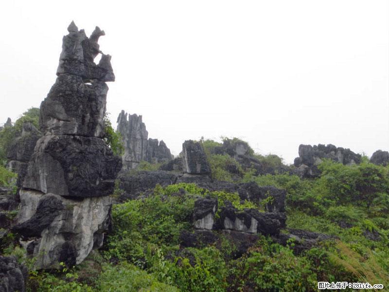 桂林旅游名城景点：灌阳文市石林 - 游山玩水 - 榆林生活社区 - 榆林28生活网 yl.28life.net