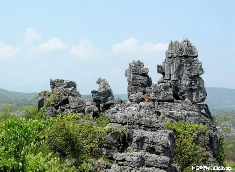 桂林旅游名城景点：灌阳文市石林 - 游山玩水 - 榆林生活社区 - 榆林28生活网 yl.28life.net