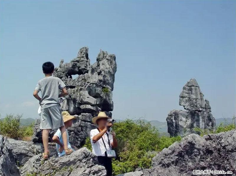 桂林旅游名城景点：灌阳文市石林 - 游山玩水 - 榆林生活社区 - 榆林28生活网 yl.28life.net