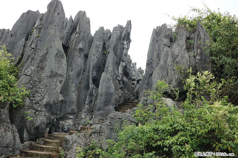 桂林旅游名城景点：灌阳文市石林 - 游山玩水 - 榆林生活社区 - 榆林28生活网 yl.28life.net
