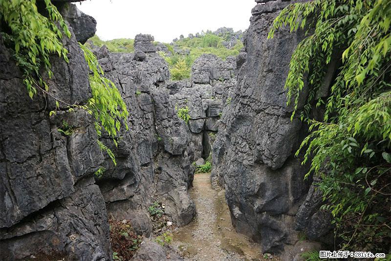 桂林旅游名城景点：灌阳文市石林 - 游山玩水 - 榆林生活社区 - 榆林28生活网 yl.28life.net