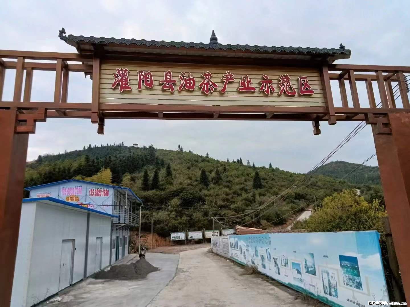 【灌阳县油茶产业示范区】一个有着充实的精神生活的人，对待身外之物自会有一种淡泊的态度 - 土特产 - 饮食特产 - 榆林分类信息 - 榆林28生活网 yl.28life.net