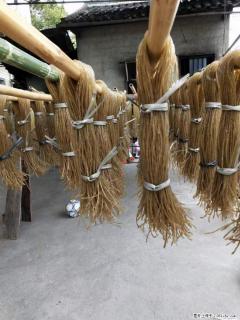 【灌阳正宗红薯粉】美女家里自己做的，干净卫生，假一赔十，价格合理，抢购电话：13737312895 - 榆林28生活网 yl.28life.net