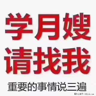 为什么要学习月嫂，育婴师？ - 榆林28生活网 yl.28life.net