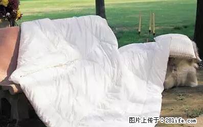 被子有异味？只要这样做，比晒太阳还强100倍！ - 家居生活 - 榆林生活社区 - 榆林28生活网 yl.28life.net