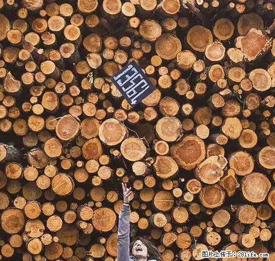 辞掉工作周游世界？现在他们在洗厕所…… - 游山玩水 - 榆林生活社区 - 榆林28生活网 yl.28life.net