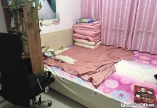 开发区紫墨园2室2厅1卫拎包入住 - 榆林28生活网 yl.28life.net