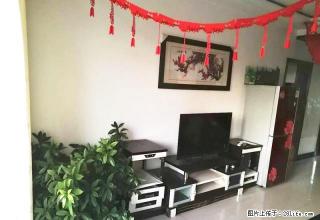 南郊六小家属院，精装，家具家电全带，拎包入住！！ - 榆林28生活网 yl.28life.net