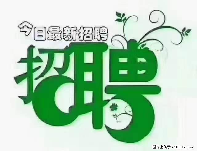 【招聘摄像师】待遇：试用期6000元/月，转正7000元/月+五险一金+餐补+节日福利+奖金 - 其他招聘信息 - 招聘求职 - 榆林分类信息 - 榆林28生活网 yl.28life.net