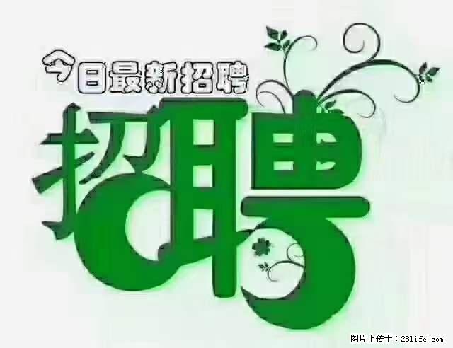 上海隔离酒店招人：55岁以下 男女不限 - 职场交流 - 榆林生活社区 - 榆林28生活网 yl.28life.net