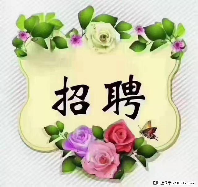 【招聘】住家育儿嫂，上户日期：4月4日，工作地址：上海 黄浦区 - 职场交流 - 榆林生活社区 - 榆林28生活网 yl.28life.net