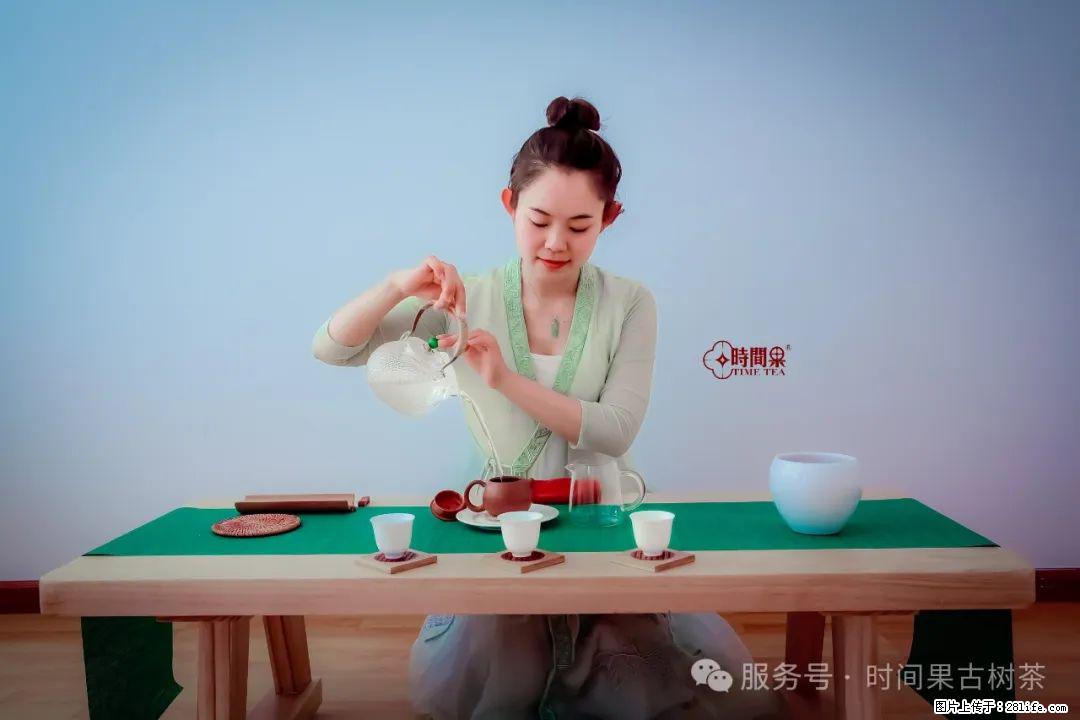 时间果百年古树龙珠普洱生茶 - 购物交流 - 榆林生活社区 - 榆林28生活网 yl.28life.net