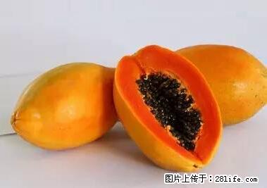 晕车、脚气、牙齿变黄、皮肤粗糙？学会这些三分钟搞定！ - 榆林生活资讯 - 榆林28生活网 yl.28life.net