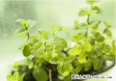晕车、脚气、牙齿变黄、皮肤粗糙？学会这些三分钟搞定！ - 榆林生活资讯 - 榆林28生活网 yl.28life.net