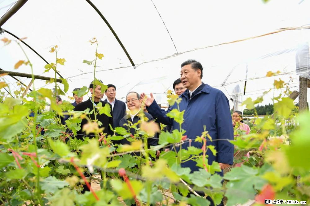习近平赴广西考察调研 - 榆林生活资讯 - 榆林28生活网 yl.28life.net