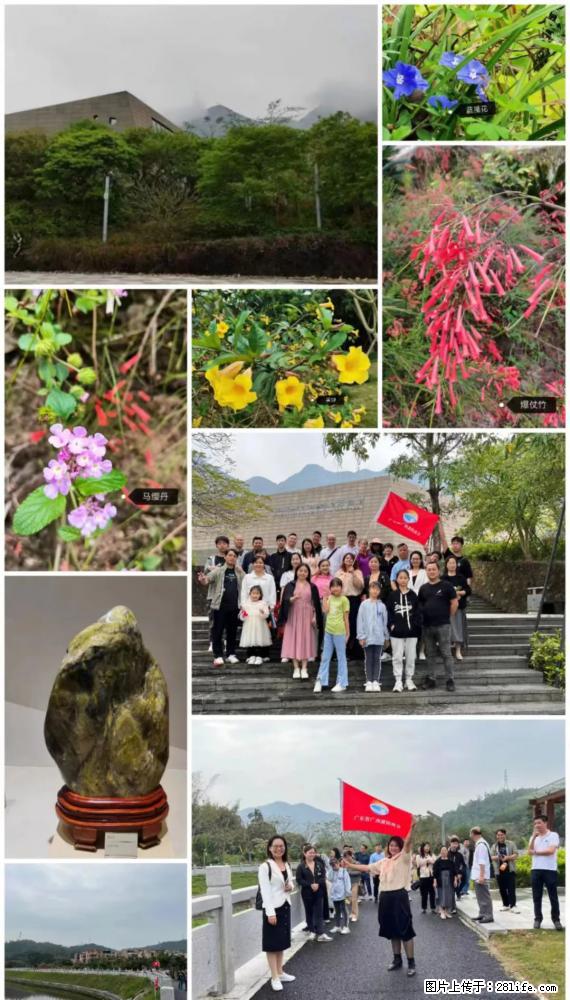“粤灌文化 美好生活”油茶文化主题活动在广东深圳成功举办 - 榆林生活资讯 - 榆林28生活网 yl.28life.net