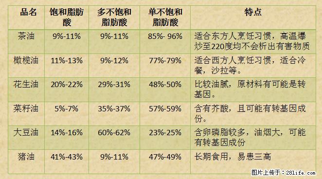揭秘茶油的5大核心营养成分！被称为人体健康的“守护盾”！ - 榆林生活资讯 - 榆林28生活网 yl.28life.net