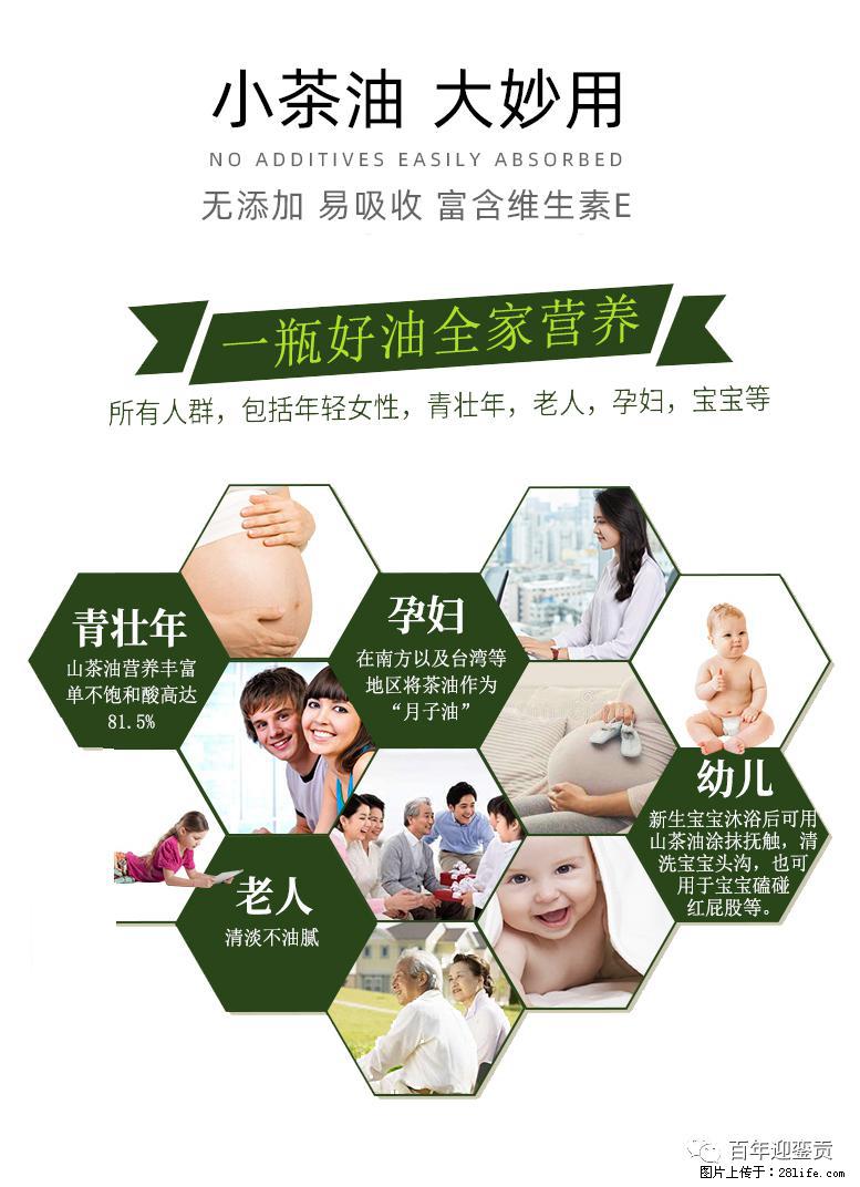 世界没有真相，只有认知，最好的食用油是中国的山茶油！ - 榆林生活资讯 - 榆林28生活网 yl.28life.net