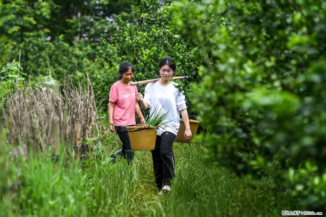 全网追的“扁担女孩”，找了一份暑假工，时薪12元 - 榆林生活资讯 - 榆林28生活网 yl.28life.net