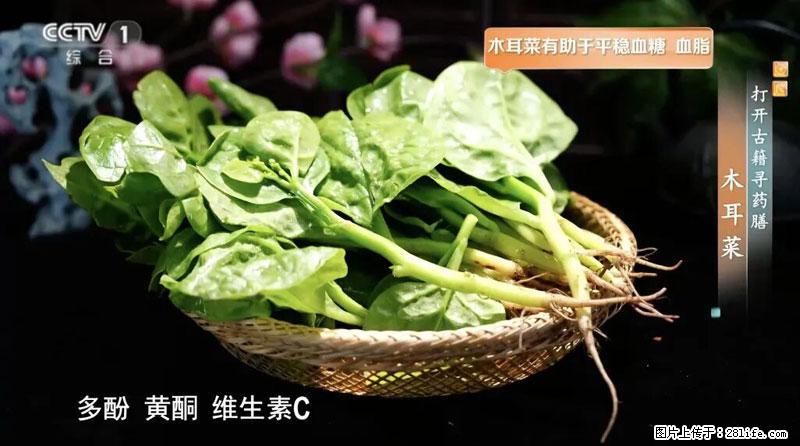 比牛奶补钙还厉害！凉血解毒、稳血糖...这菜冬天必吃，很多人却当草 - 榆林生活资讯 - 榆林28生活网 yl.28life.net