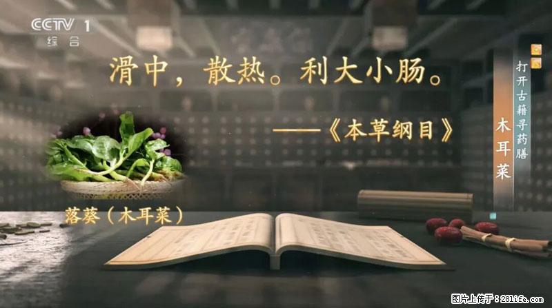 比牛奶补钙还厉害！凉血解毒、稳血糖...这菜冬天必吃，很多人却当草 - 榆林生活资讯 - 榆林28生活网 yl.28life.net