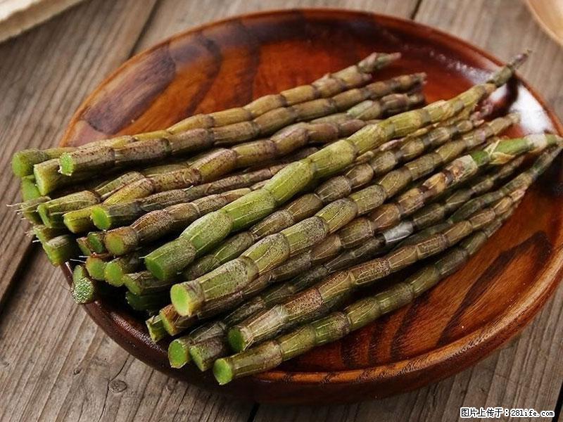铁皮石斛的作用与功能主治 - 榆林生活资讯 - 榆林28生活网 yl.28life.net